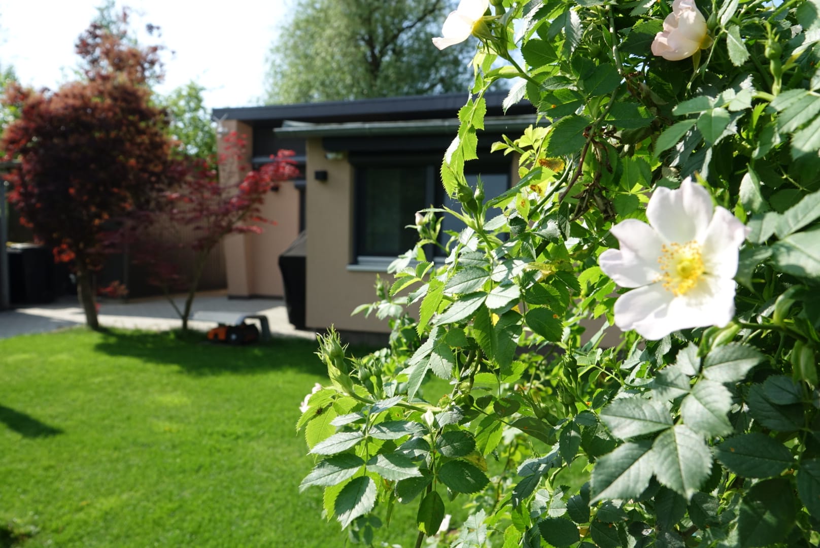 Kanalkieker Ferienbungalow Ketzin Havelkanal Bild 7